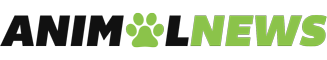 startupswave.com